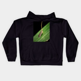 A Long-horned Moth (lecithocerids) standing tall and proud Kids Hoodie